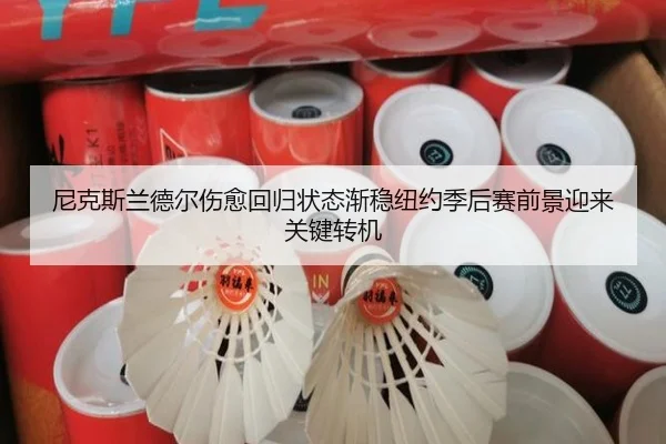 尼克斯兰德尔伤愈回归状态渐稳纽约季后赛前景迎来关键转机