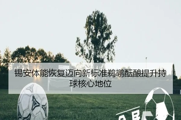 锡安体能恢复迈向新标准鹈鹕酝酿提升持球核心地位
